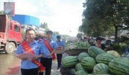 甘谷网红吃瓜事件,揭秘网络舆论背后的真相与反思